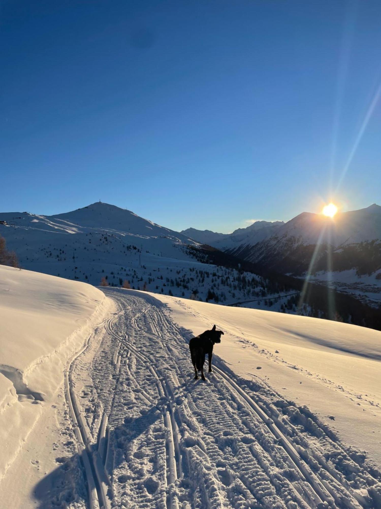 Residence S Lucia - Appartamenti Alle Porte Di Bormio 瓦尔蒂索托 外观 照片