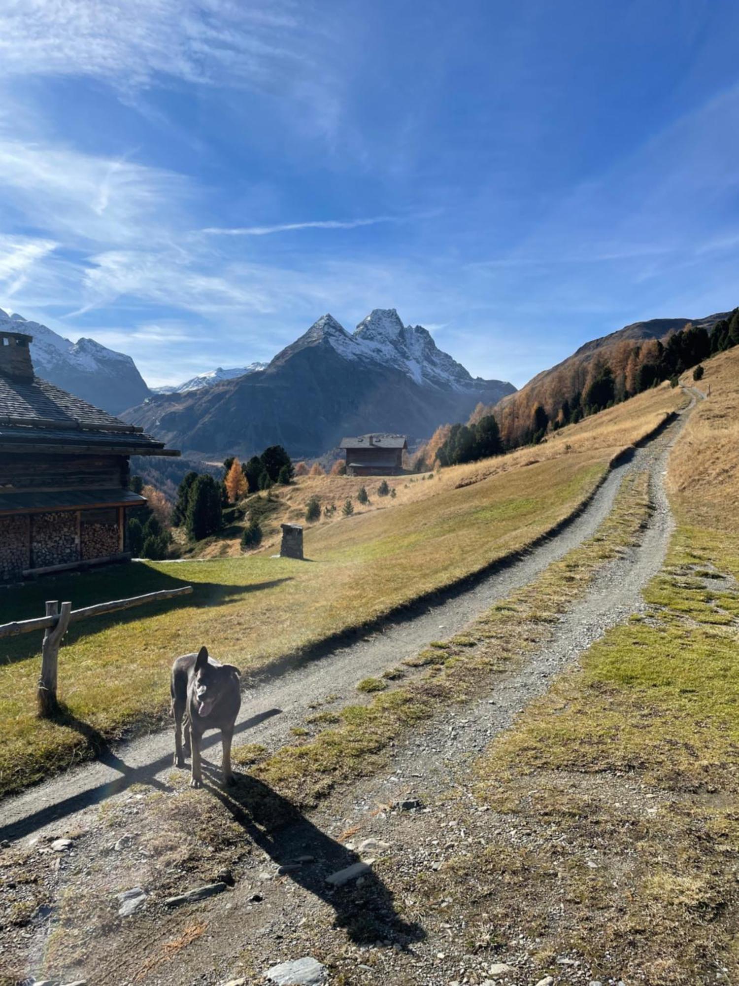 Residence S Lucia - Appartamenti Alle Porte Di Bormio 瓦尔蒂索托 外观 照片